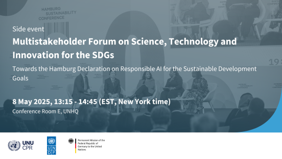 Towards the Hamburg Declaration on Responsible Al for the Sustainable Development