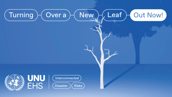 Cover image for UNU-EHS Interconnected Disaster Risks report 2025: Out Now