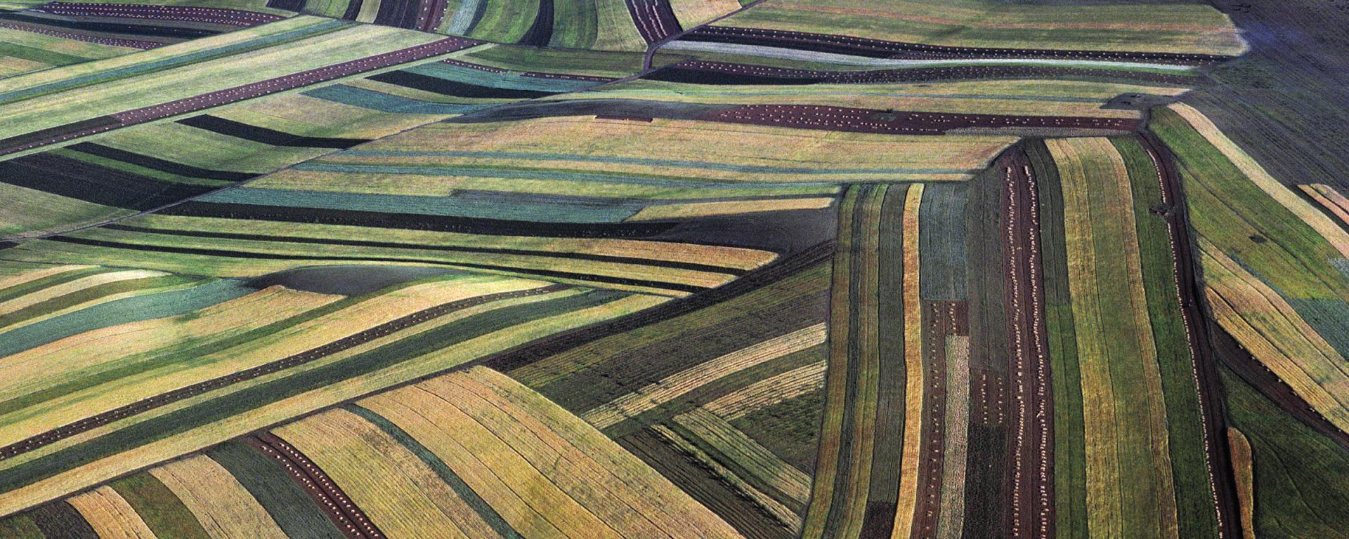 Strip Cropping in China